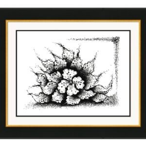 Flowers 12