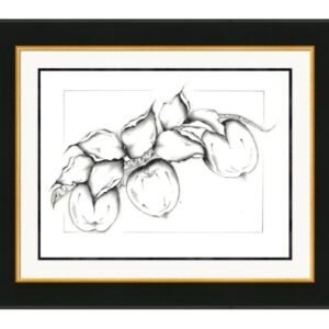 Fruits 9