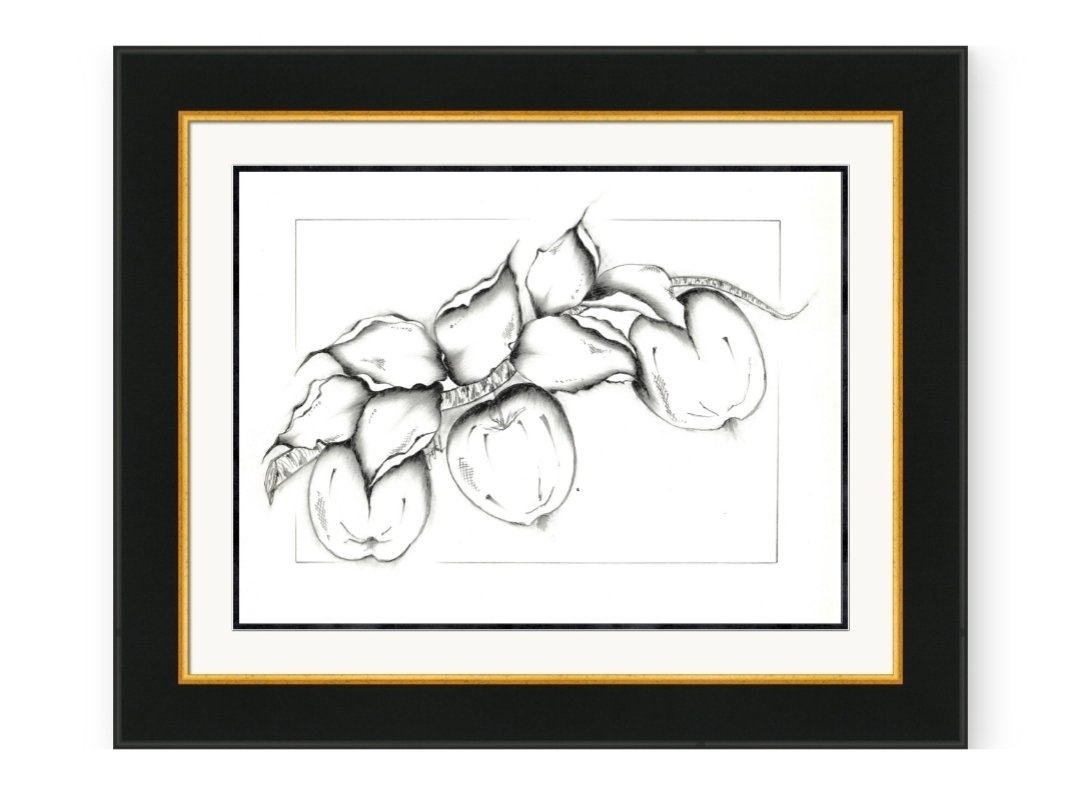 Fruits 9